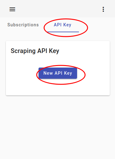 scraping api key